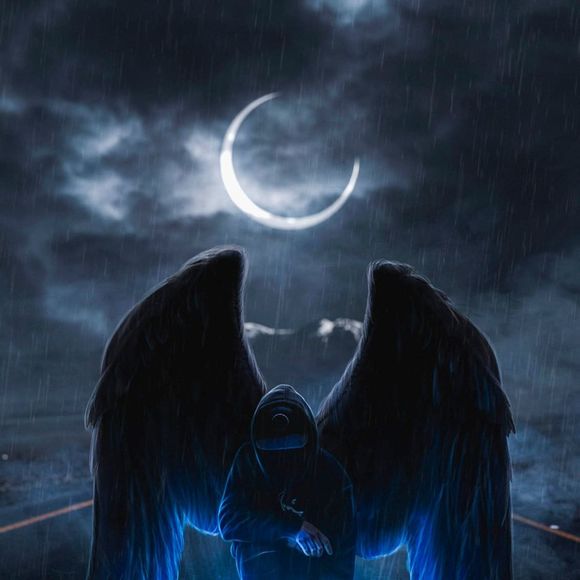 Meet your Posher, Leonardo - Picture 1 of 1